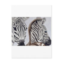 Zebras Mother and Child postcards