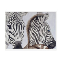 Zebras Mother and Child postcards