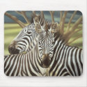 Zebras mousepads