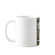 zebras mugs