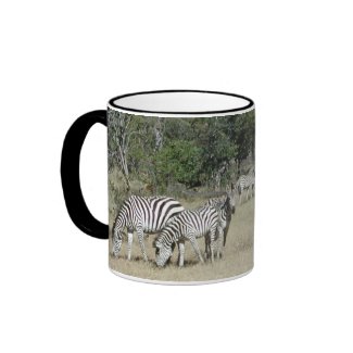 Zebras mug