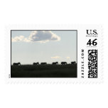 zebras on horizon postage
