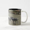 Zebras on the Move Mug by kimboj1 Zebras on the Move Mug