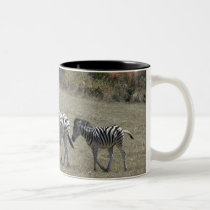 Zebras on the Move Mug by kimboj1 Zebras on the Move Mug