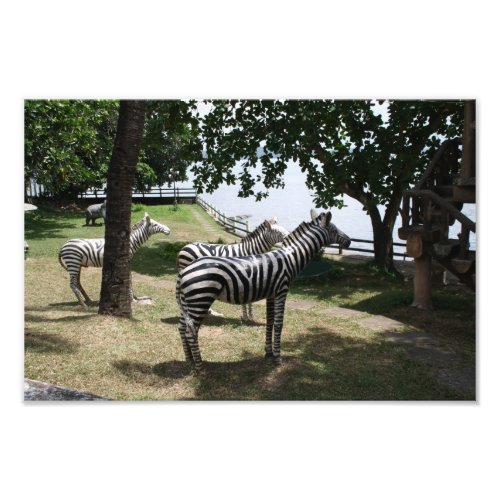 Zebras,, statues in a park in Tacloban City