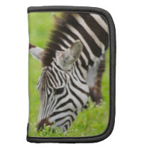 Zebras Planner
