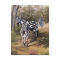 Zebras Postcard