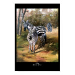 0 - From an oil painting by Brenda Thour of a small group of zebras in their homeland, Africa. Photo reference from Dr. Thomas Trainer.: Sizes  Available colors: 0
