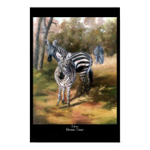 Zebras posters by bmthour Zebras posters
