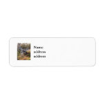 Zebras Return Address Labels