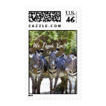 Zebras_ Stamps