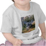 infant_tshirt - From an oil painting by Brenda Thour of a small group of zebras in their homeland, Africa. Photo reference from Dr. Thomas Trainer.: Sizes s,m,l,xl Available colors: white