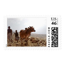 zebu stamp by nefera zebu stamp