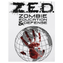 ZED FLYERS