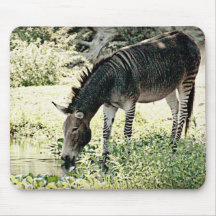 "Zedonk" Mouse Pad
