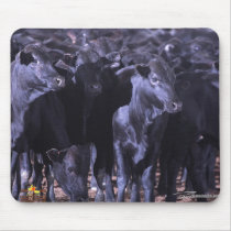 ZeeBoulls mousepads