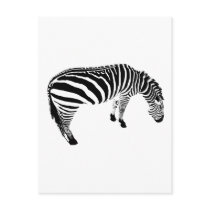 zeebra postcards by dinatemraz zeebra postcards