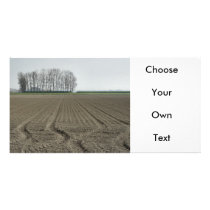 Zeeland-Just Sowed Customized Photo Card