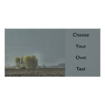 Zeeland-Late Sun Custom Photo Card