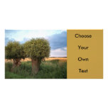 Zeeland-Two Willow Trees Photo Card
