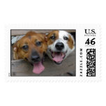 Zeena &amp; Zippy Postage