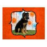 Zeke - German Shepherd Postcards
