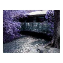 ZEN Art Print