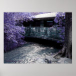 ZEN Art Print