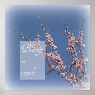 Zen- Beauty is Simple Cherry Blossom Poster print