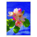 Zen Blossoms Card