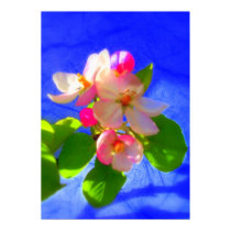 Zen Blossoms Poster posters by jan4insight Zen Blossoms Poster posters