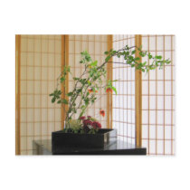 zen flower arrangement postcards by carlajean42 zen flower arrangement postcards
