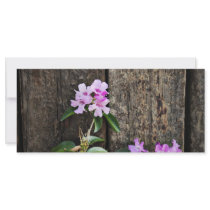 Zen Flowers rack cards