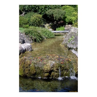 Zen Garden Poster by norman888