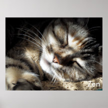 Zen Kitty Posters