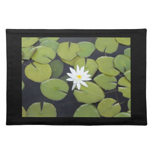 lily pad mat costco