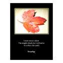 Zen Maple Poem & Art Print