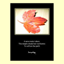 Zen Maple Poem & Art Print posters