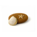 Zen Nature Sea Shell Star fish Pebble posters by art_prints_posters Zen Nature Sea Shell Star fish Pebble posters