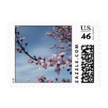 Zen Pink Cherry Blossom  Postage