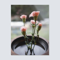 Zen postcards