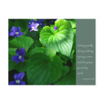 Zen Proverb Quote Poster Postcards