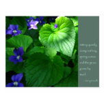 Zen Proverb Quote Poster Postcards