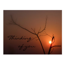 Zen Sunset Thinking-of-You Postcard