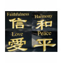 Zen T-shirt shirt