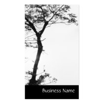 Zen Tree Balance l Nature Photography business cards
