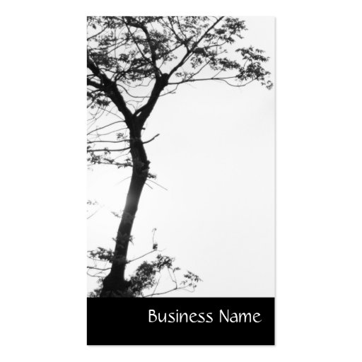 Zen Tree Balance l Nature Photography Business Card (front side)