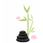 Zen Shirts