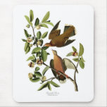 Zenaida Dove Mousepad mousepads by chartingnature Zenaida Dove Mousepad mousepads