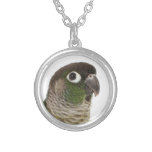 Zeph (green cheek conure) - Necklace